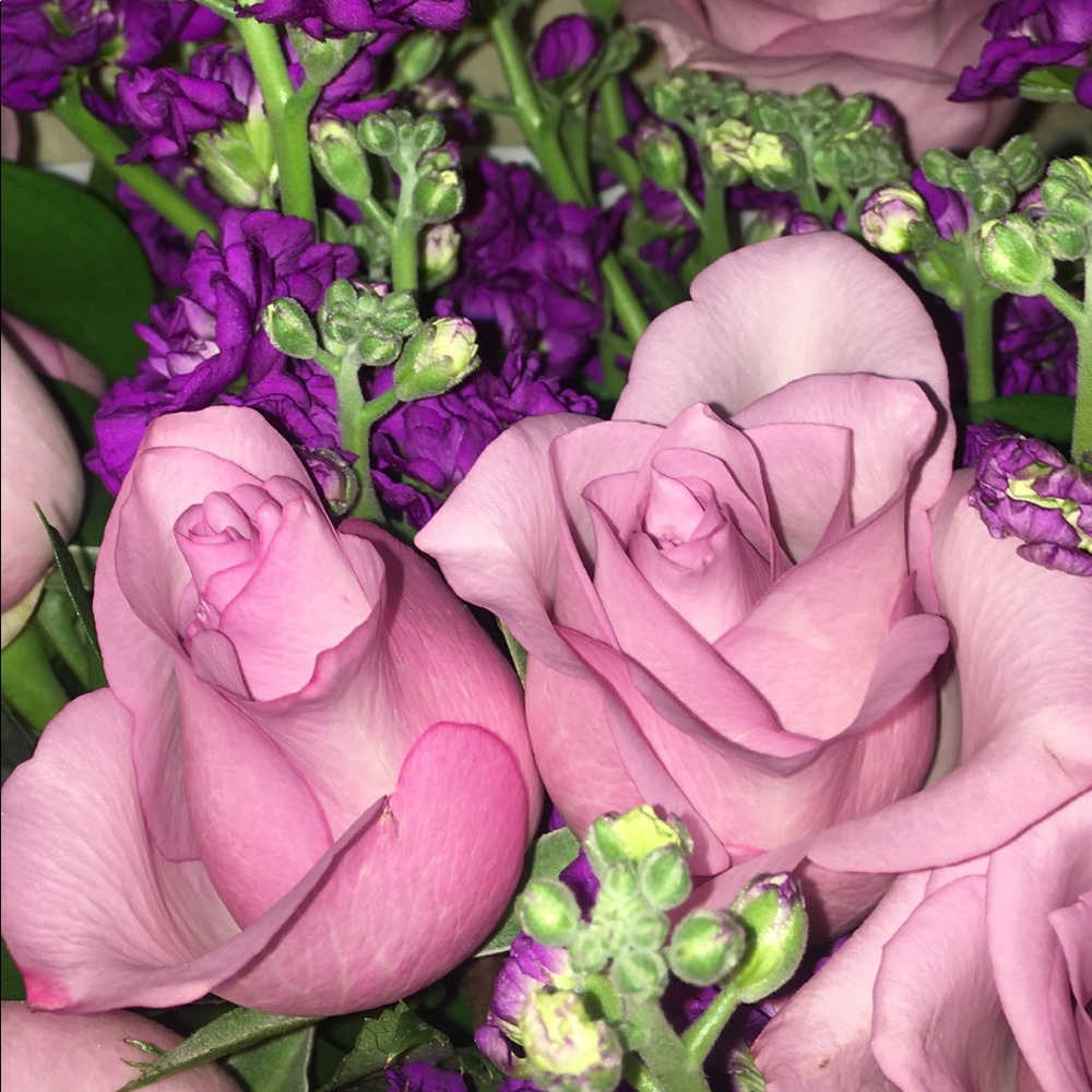 Meet your Posher, Karen